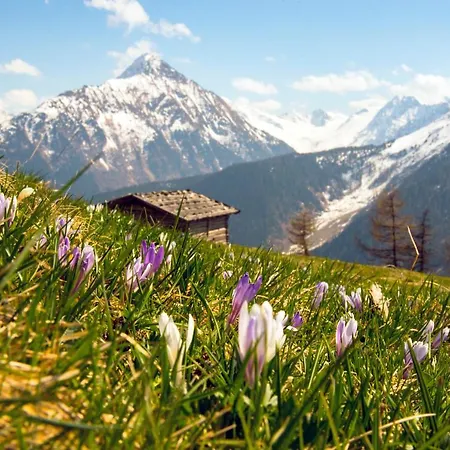 Jasmin 아파트 턱스