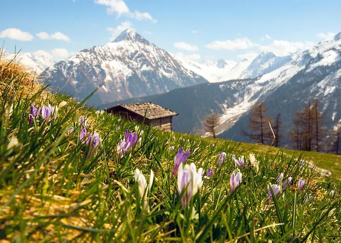 Jasmin Διαμέρισμα Tux